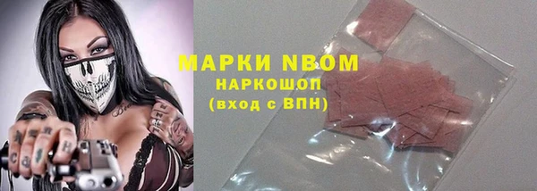 стаф Абинск